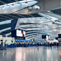 Pra quem não viu: Mulher é presa por matar o próprio cachorro em aeroporto dos EUA - Belinda Fewings/Unsplash