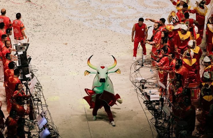 Sua importância vai além do festival, pois representa a essência e o espírito vibrante do povo amazonense, que mantém vivas suas raízes culturais.