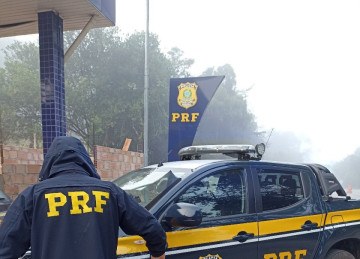 Segundo a PRF, o porta malas do carro tinha diversas gaiolas e redes com 109 pássaros da espécie trinca-ferro, animais silvestres típicos da Mata Atlântica -  (crédito: Reprodução / Polícia Rodoviária Federal )