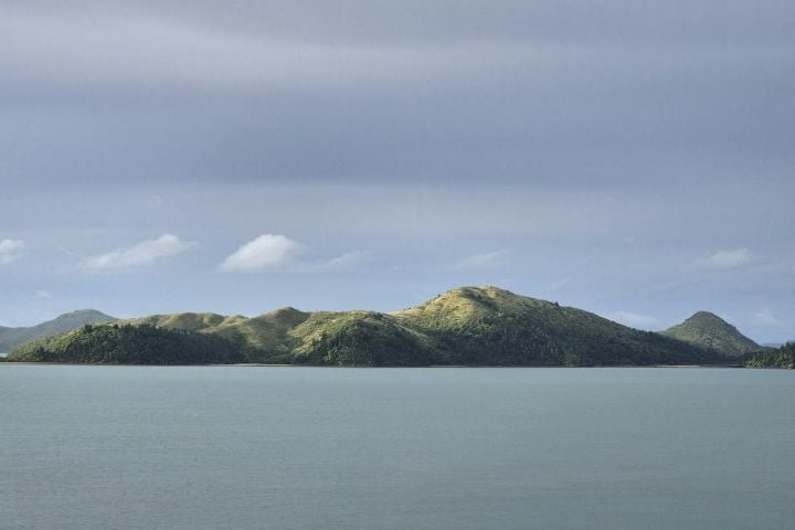 Alguns cientistas sugerem que a Zelândia poderia ter abrigado vida animal e vegetal antes de submergir.

