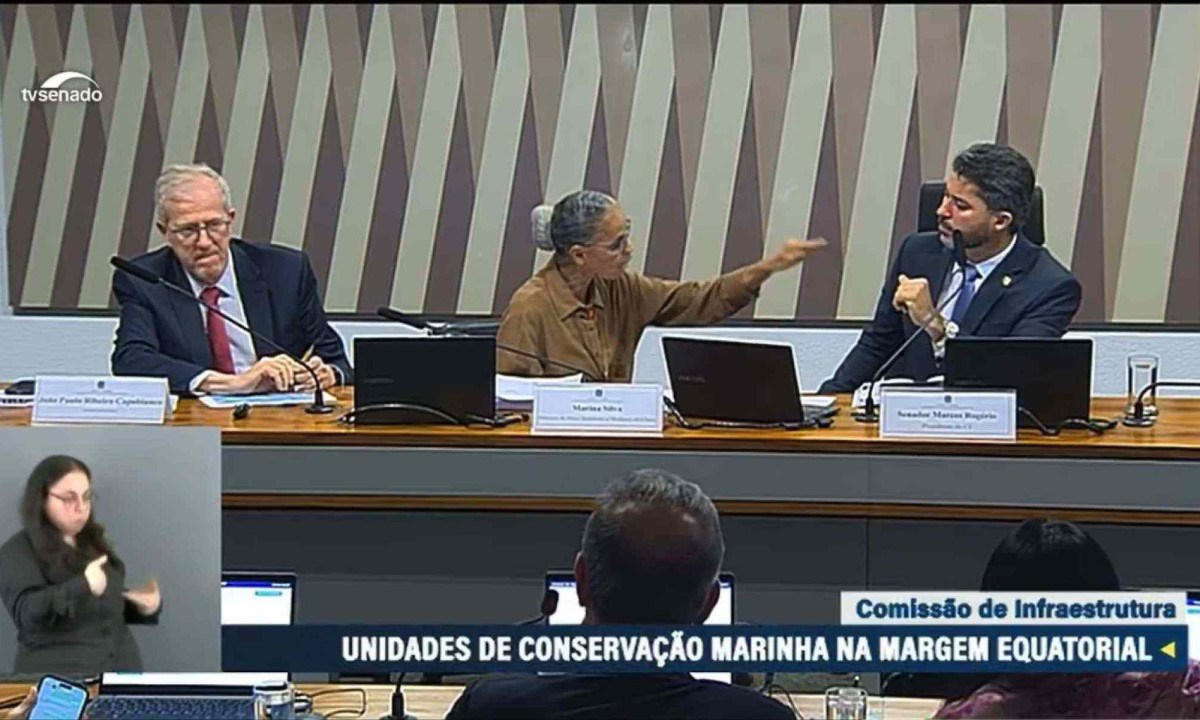 Ministra Marina Silva (PT) presta depoimento no Senado -  (crédito: Redes Socais/Reprodução)