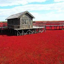 Vermelho vibrante de reserva ambiental da China proporciona espetáculo visual único -  ???/Wikimédia Commons