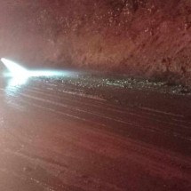 Fezes de porcos fecham a BR-365 por quatro horas em Minas - DivulgaÃ§Ã£o/CBMG