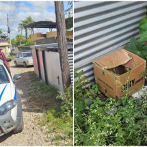 MG: recém-nascido é achado em caixa na rua