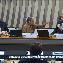 Senador manda Marina Silva 'se pôr no seu lugar'; ministra rebate