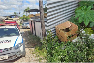 Corpo de Bombeiros encontrou o bebê, do sexo masculino, com a presença de placenta, na Rua Américo Gontijo, no Bairro Vargem Grande -  (crédito: CBMMG/Divulgação)