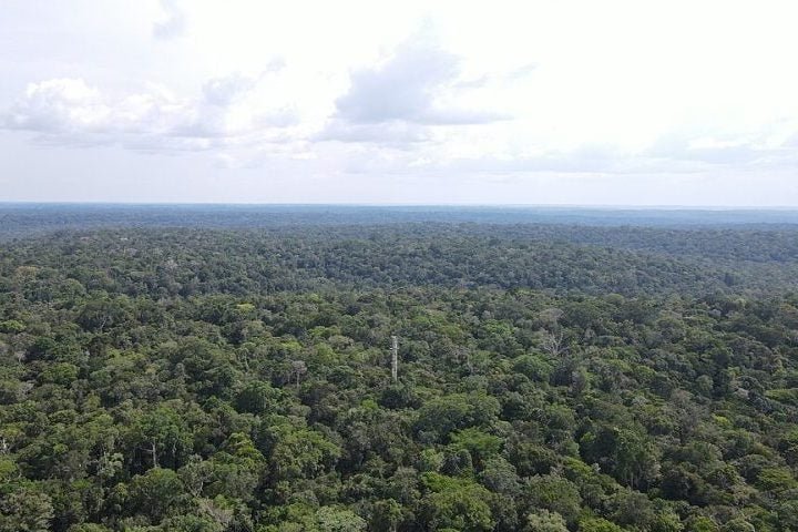 Durante a era Paleoproterozóica, erupções moldaram a paisagem e a composição mineral da região.