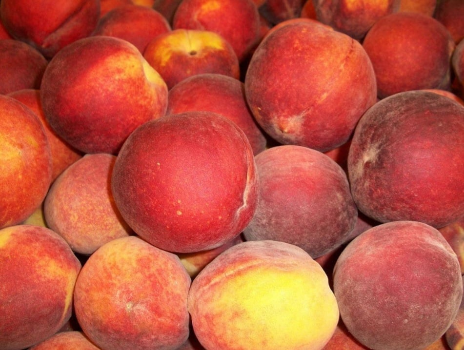 A vitamina A e o betacaroteno presentes neste fruto sÃ£o importantes para a saÃºde ocular e podem ajudar a prevenir problemas de visÃ£o. Nutrientes que favorecem a prevenÃ§Ã£o da catarata e evita degeneraÃ§Ã£o macula, uma doenÃ§a que diminui a nitidez e a capacidade da visÃ£o central.