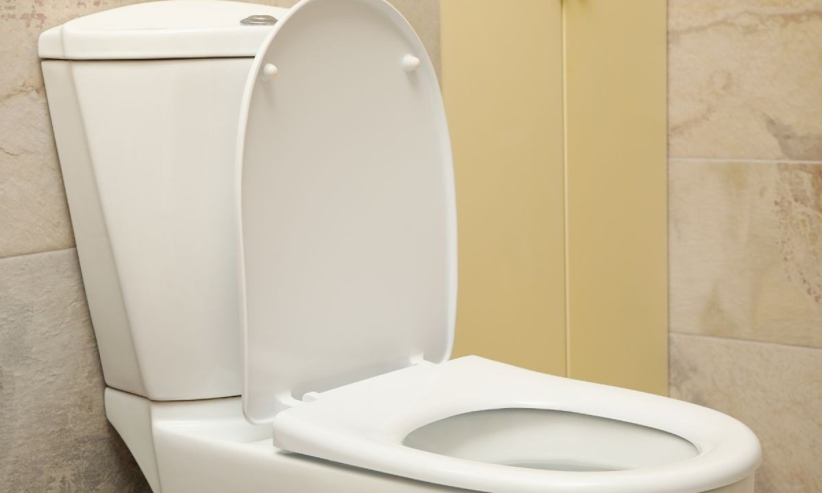 Retirar mancha do vaso sanitário