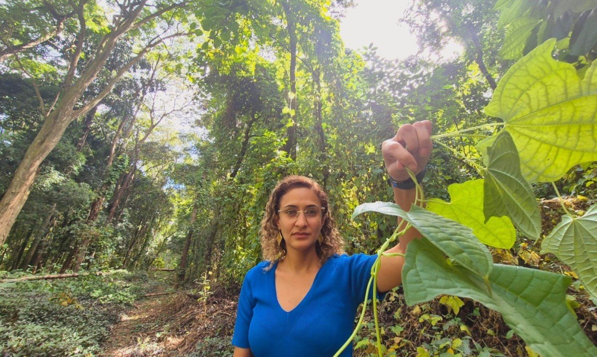 Na foto, Jacqueline Rodrigues, bióloga do Museu de História Natural 
