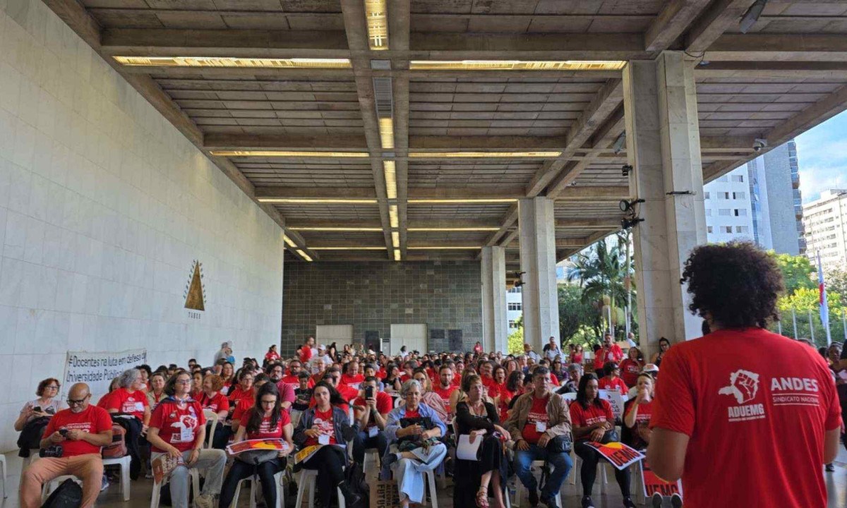 Professores se reuniram na ALMG, na tarde desta quarta-feira (28/5) -  (crédito: Aduemg/Divulgação )