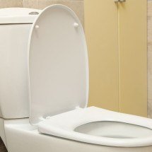 É possível pegar doenças ao usar o vaso sanitário?