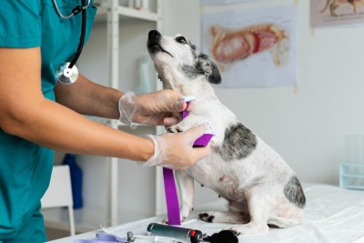 Os danos à saúde incluem doenças respiratórias, problemas neurológicos, cardiovasculares, irritações de pele e mucosas -  (crédito: FreePik)