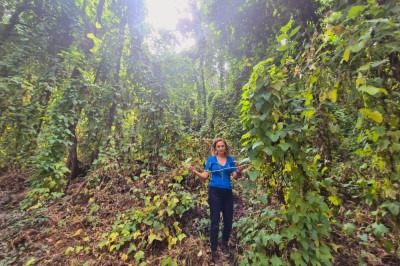 A Reserva do Museu da UFMG abriga uma das poucas áreas de vegetação preservada dentro da capital mineira -  (crédito: Jair Amaral/EM/DA Press)