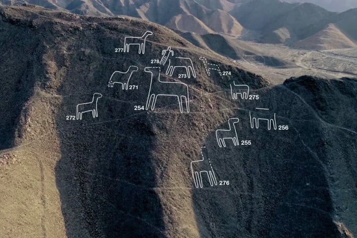 Recentemente, com a ajuda da inteligência artificial (IA), cientistas dobraram o número de figuras conhecidas e identificaram 303 novos geoglifos em apenas seis meses.-Divulgação/Universidade Yamagata
