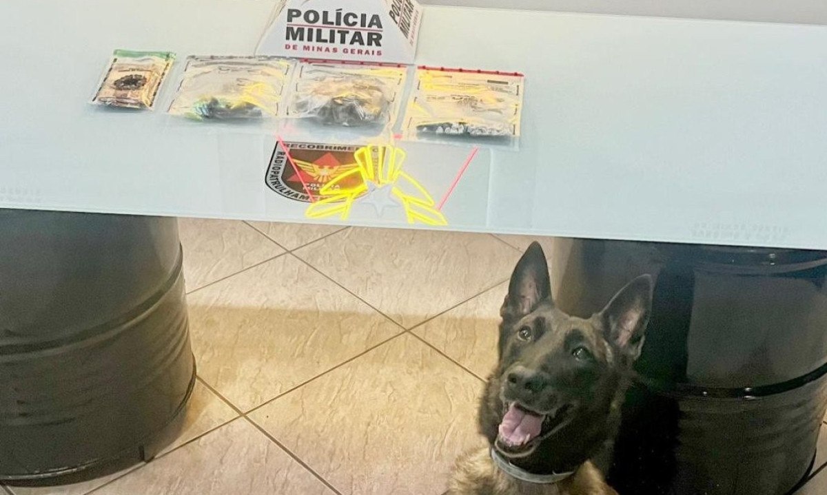 Polícia apreendeu tabletes e porções de maconha, pedras de crack, pinos de cocaína e R$ 177 em dinheiro -  (crédito: PMMG/Divulgação)
