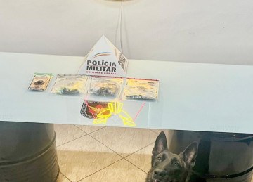 Polícia apreendeu tabletes e porções de maconha, pedras de crack, pinos de cocaína e R$ 177 em dinheiro -  (crédito: PMMG/Divulgação)