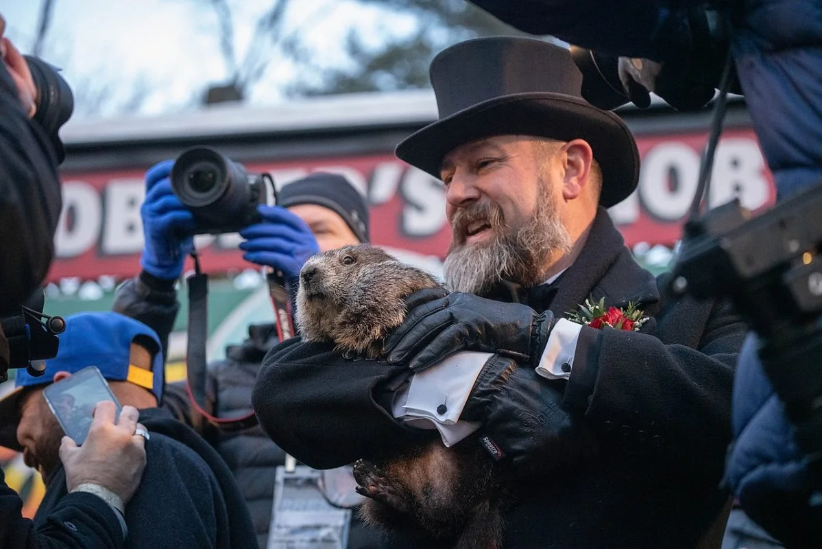 Celebrado todo dia 2 de fevereiro na cidade de Punxsutawney, nos Estados Unidos, o “Dia da Marmota” é caracterizado por um folclore local. A ideia é de que a marmota pode prever o tempo.
 -  (crédito: flickr Anthony Quintano)