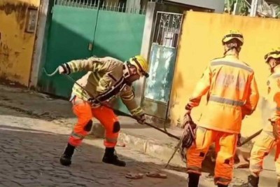 Corpo de Bombeiros recebeu o chamado para resgate às 8h45 -  (crédito: Portal O Vigilante Online/Reprodução)