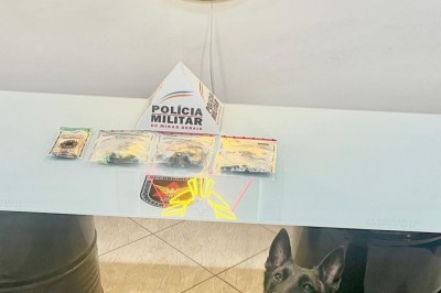Polícia apreendeu tabletes e porções de maconha, pedras de crack, pinos de cocaína e R$ 177 em dinheiro -  (crédito: PMMG/Divulgação)