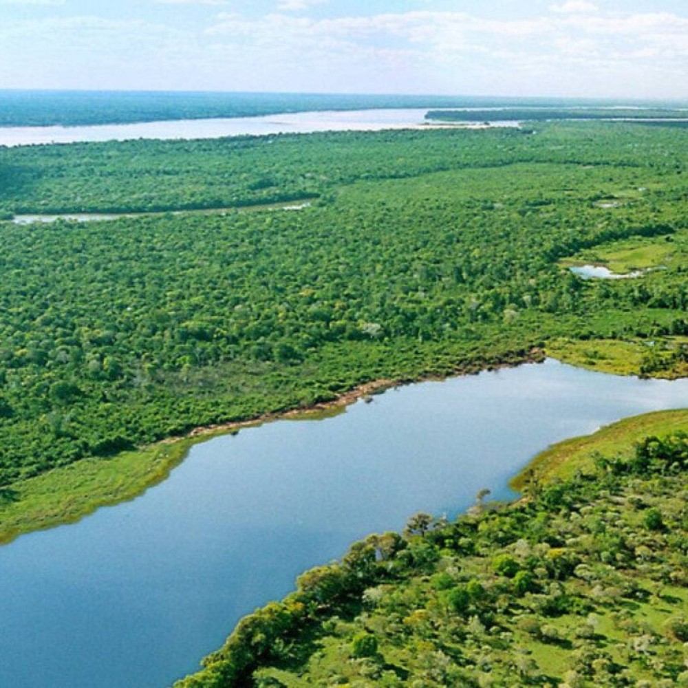 Maiores ilhas fluviais do mundo ficam no brasil