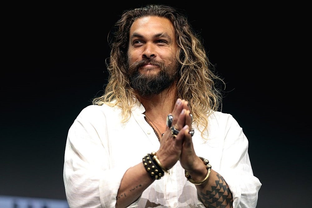 De acordo com o site estadunidense “ComicBook”, que noticiou o acerto, Momoa pode ficar com o papel do personagem Blanka, apresentado no jogo como um personagem brasileiro.
