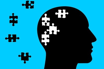 Existem plantas e alimentos que auxiliam a memória devido a compostos que estimulam a circulação cerebral e protegem os neurônios. Além disso, podem reduzir o estresse, um dos fatores que prejudicam a memorização.  -  (crédito: Imagem de Tumisu por Pixabay )