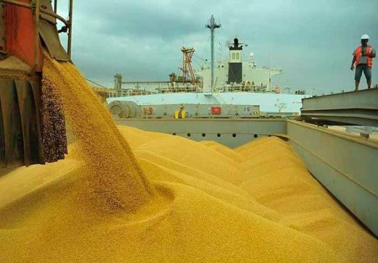 Grão poderoso: Colheita de soja impulsiona crescimento da agropecuária em 2025