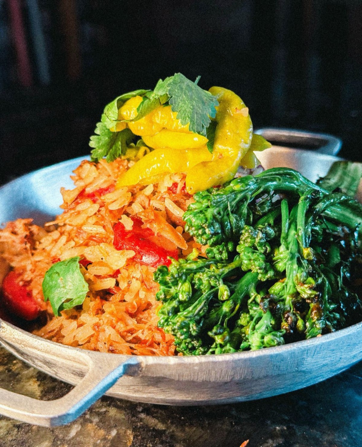 Arroz de pato do Ceva 
