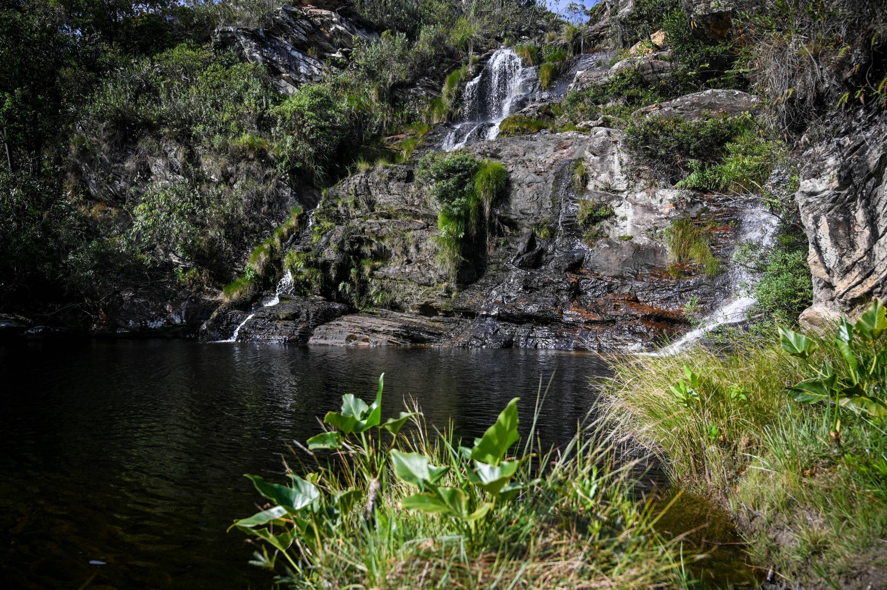 Serra do Cipo na regiao do Alto Palacios. Uma alternativa para quem quer mesmo se sentir na Serra sao os passeios no Alto Palacios, regiao montanhosa acima da APA da Pedreira e depois da Serra Morena. Na foto, a cachoeira Congonhas, lacalizada dentro do Parque Nacional da Serra do Cipo.
      -Leandro Couri.Brasil.MG.Santana do Riacho. 