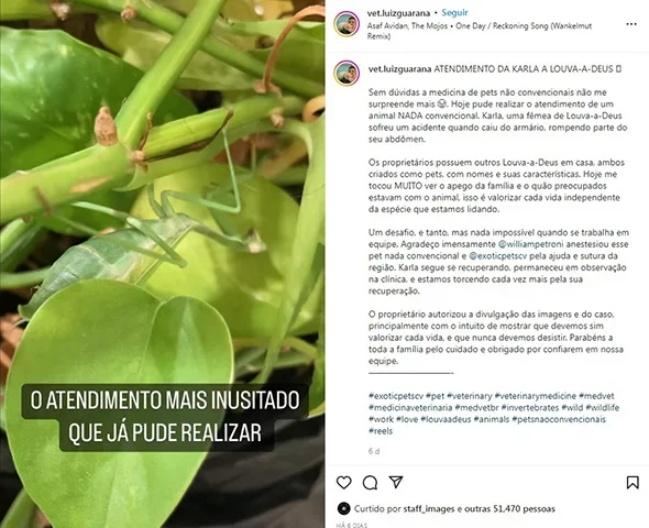 O veterinário Luiz Fernando Guaraná compartilhou o caso nas redes sociais, afirmando o quanto essa experiência foi especial.  "Hoje, foi dia de fazer um atendimento inusitado, único, uma experiência completamente diferente de todas as outras".