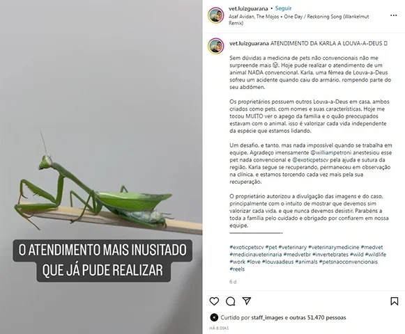 E ele acrescentou: "Agora, quando me perguntarem que animal mais estranho que eu já atendi na clínica, a minha resposta, certamente, vai ser: louva-a-deus". A cirurgia, inicialmente, deu certo. Mas depois o louva-a-deus acabou morrendo. 