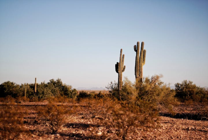A ideia dele é posicionar a câmera num local fixo e documentar as mudanças na paisagem da cidade de Tucson ao longo mil anos.