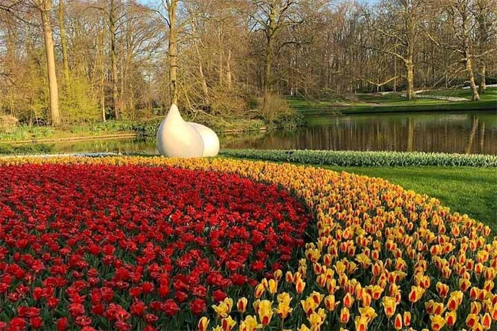 Holambra é responsável pela produção e comercialização de aproximadamente 40% de todas as flores e plantas ornamentais produzidas no Brasil.