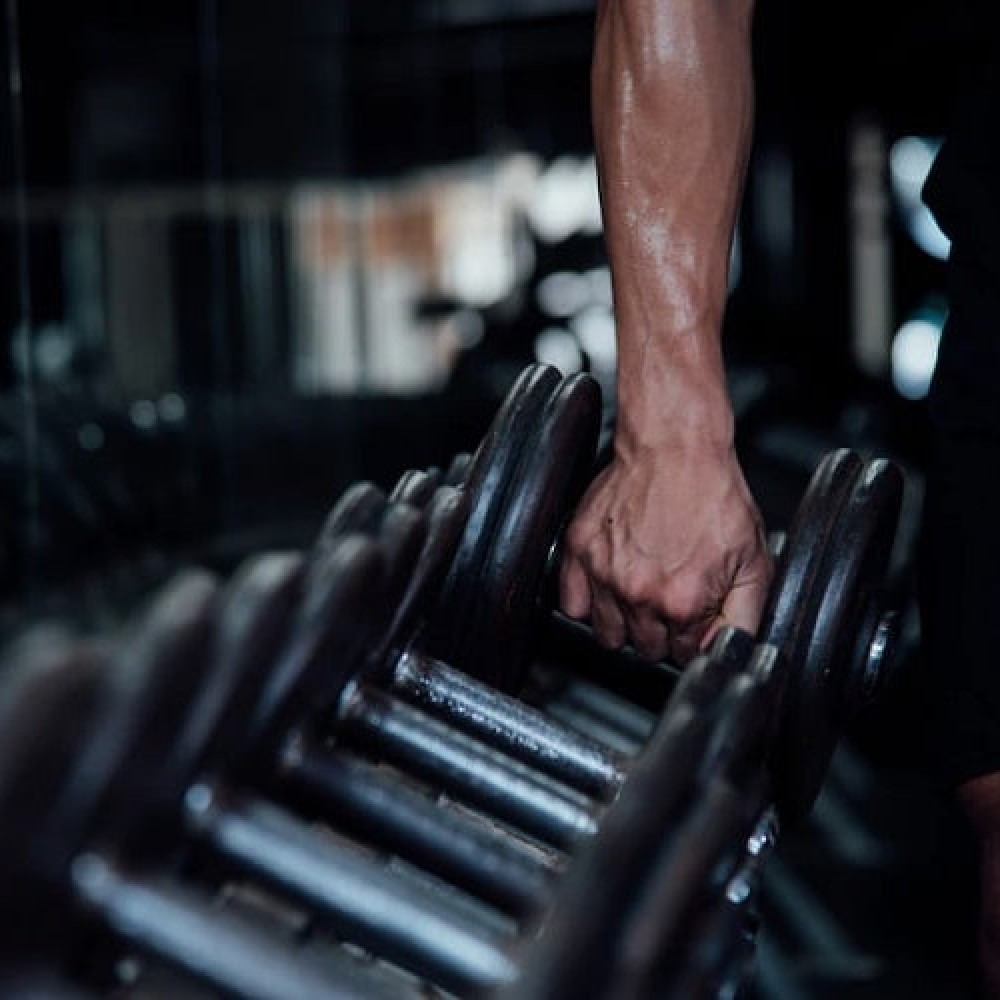 Alimentos que fortalecem os músculos de forma saudável