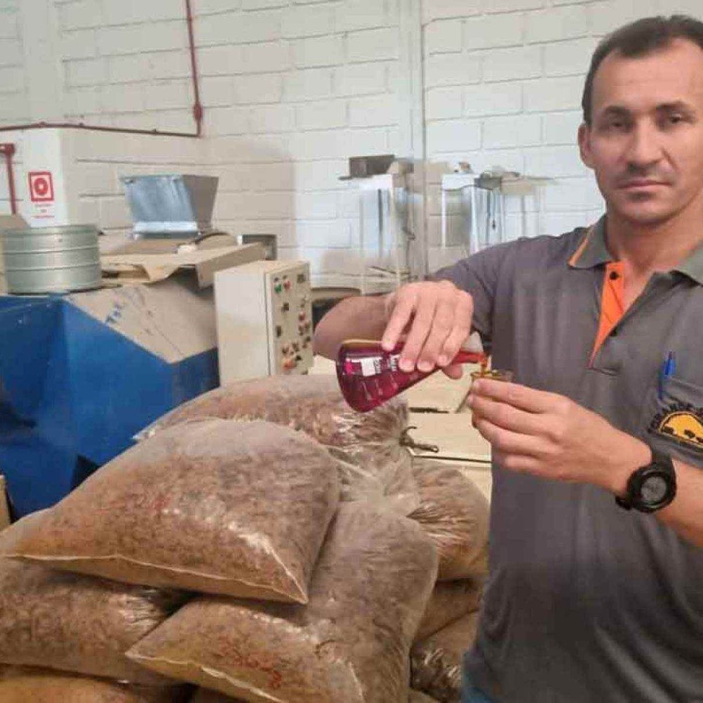 Mãos jovens e femininas no trato do buriti no cerrado mineiro