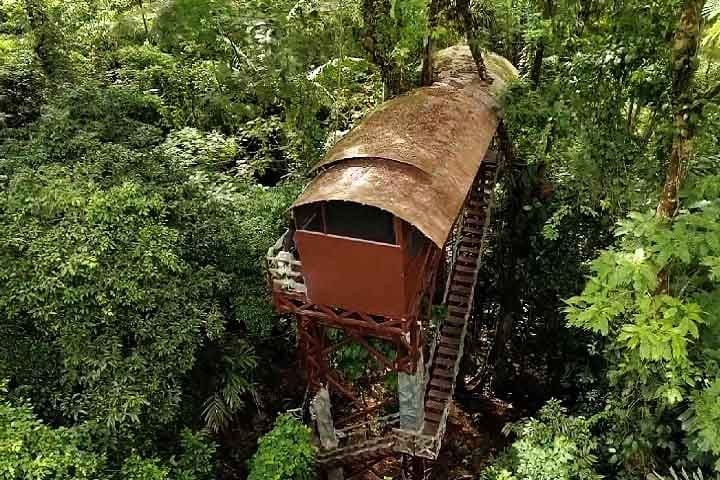 Encontrados em áreas de safári ou perto de parques nacionais, eles oferecem uma experiência de imersão na natureza com foco maior no ecoturismo.