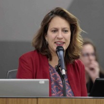 ALMG autoriza venda de créditos, mas protege verbas dos fundos públicos - Alexandre Netto/ALMG