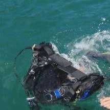 Pesquisadores arrancam coral que invadiu o litoral brasileiro - Reprodução TV Globo
