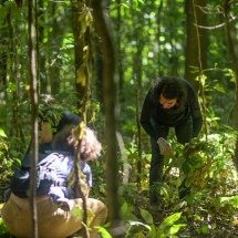 Mutirão retira planta invasora do Museu de História Natural da UFMG - Leandro Couri/EM/D.A Press