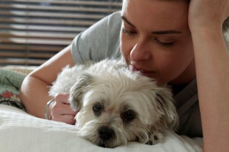 Estamos prolongando demais a vida dos nossos pets?