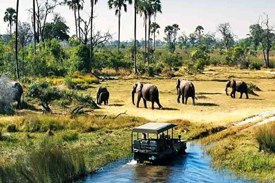 Para muitos turistas, um safári é uma aventura imperdível. Ficar diante de animais perigosos tendo segurança mexe com a adrenalina e pode ser uma experiência inesquecível.  Veja safáris que são bem avaliados pelo mundo. -  (crédito:  Flickr Primate Safaris)