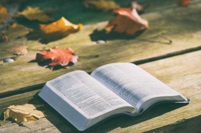 A Bíblia é o livro mais vendido do mundo, com mais de cinco bilhões de cópias distribuídas. Está traduzida para mais de 700 idiomas, tornando-se ível globalmente -  (crédito: Imagem de Pexels por Pixabay )