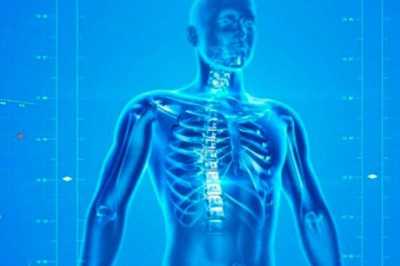 Um dos minerais mais importantes para a nutrição humana é o ferro. Afinal, uma alimentação pautada na presença deste nutriente contribuiu para a oxigenação dos tecidos e auxilia no transporte do oxigênio até as células do corpo todo a partir das hemácias(glóbulos vermelhos).  -  (crédito:  PublicDomainPictures pixabay)