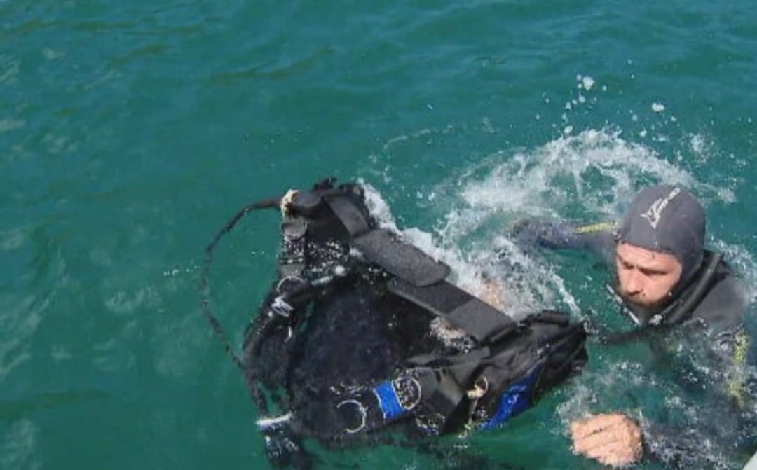 Pesquisadores arrancam coral que invadiu o litoral brasileiro