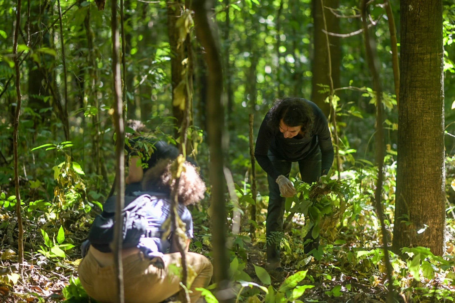Voluntários se mobilizaram para retirar uma planta invasora que prejudica o ecossistema local-Leandro Couri/EM/D.A Press