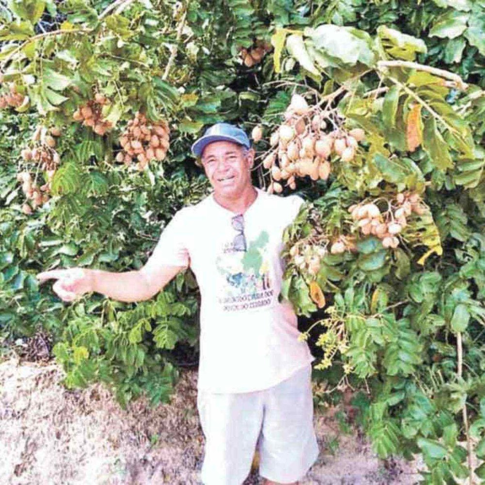 Agricultores do norte de minas associam produção com respeito à natureza