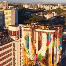 Prestígio internacional: muralista brasileiro tem obra até na ONU -  Reprodução/Instagram