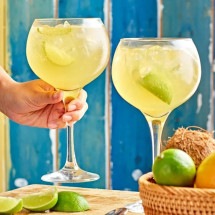 Zero Waste Cocktails: técnica, sabor e lucro no balcã - Hawksbillrum.uk.com/Reprodução