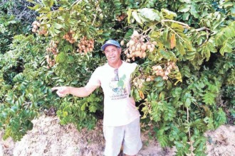 Agricultores do Norte de Minas associam produção com respeito à natureza